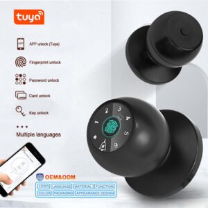 H408 CAIYI YiTechE Tuya WiFi Remote Control Black Biometric Fingerprint Digital Card Door Knob Smart Ball Lock with Key for Bedroom
