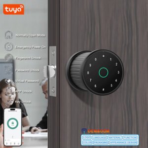 H208 CAIYI YiTechE Tuya Smart Phone Online Fingerprint Number Password Combination Office Spherical Cylinder Cylindrical Door Lock with Key