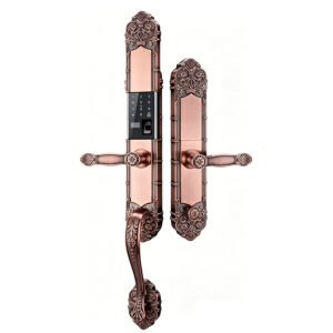 V2 CAIYI YiTechE Villa Smart Entry Main Door Lock Luxury Classic Long Home Security Keyless Biometric Fingerprint Password Card Digital Electronic Intelligent Villa Front Entrance Gate Lock