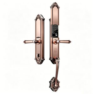 V1 CAIYI YiTechE Villa Smart Entry Main Door Lock Luxury Classic Long Home Security Keyless Biometric Fingerprint Password Card Digital Electronic Intelligent Villa Front Entrance Gate Lock